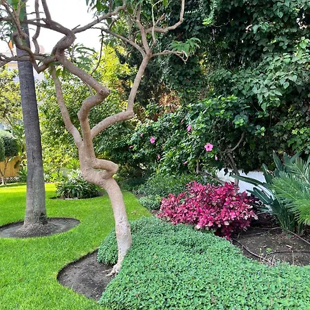 アパート Sea トレモリノス